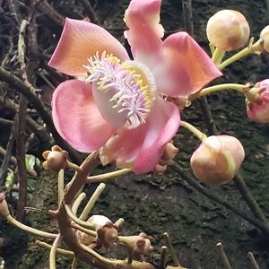 Meet your Posher, Maureen